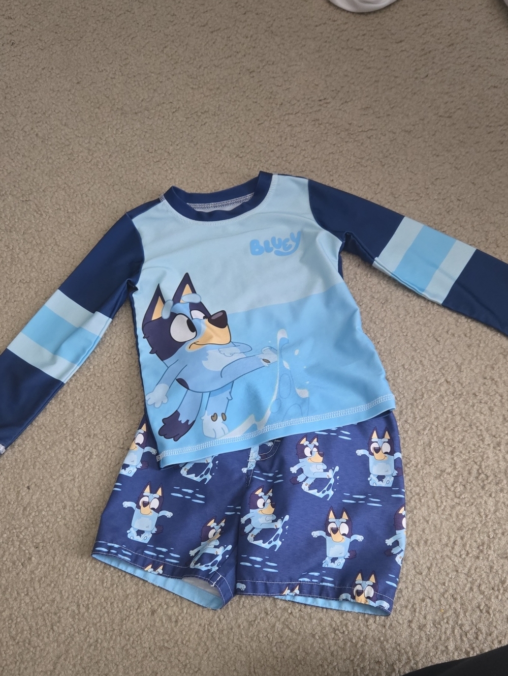 Toddler Bluey Swimsuit